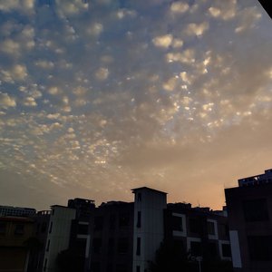 xx成人裸体视频小婴
